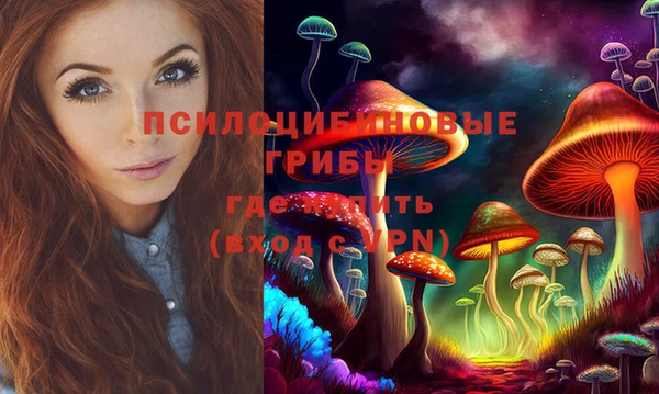 таблы Верхний Тагил