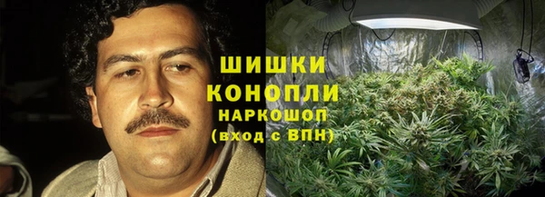 амф Саяногорск