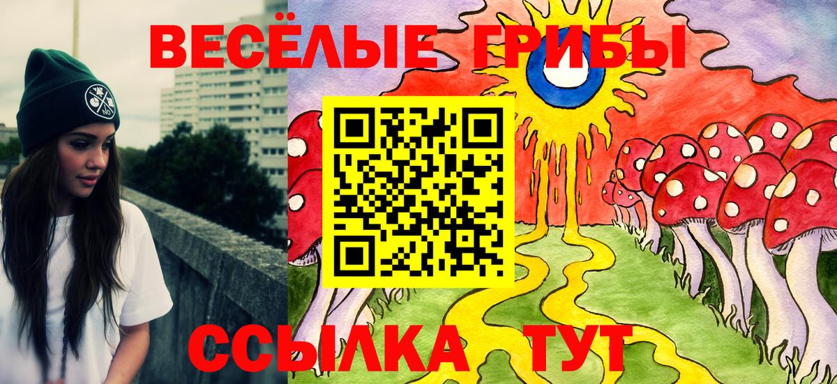 Северобайкальск  Псилоцибиновые грибы Cubensis  Вход с VPN  купить наркоту  Галлюциногенные грибы Magic Shrooms 