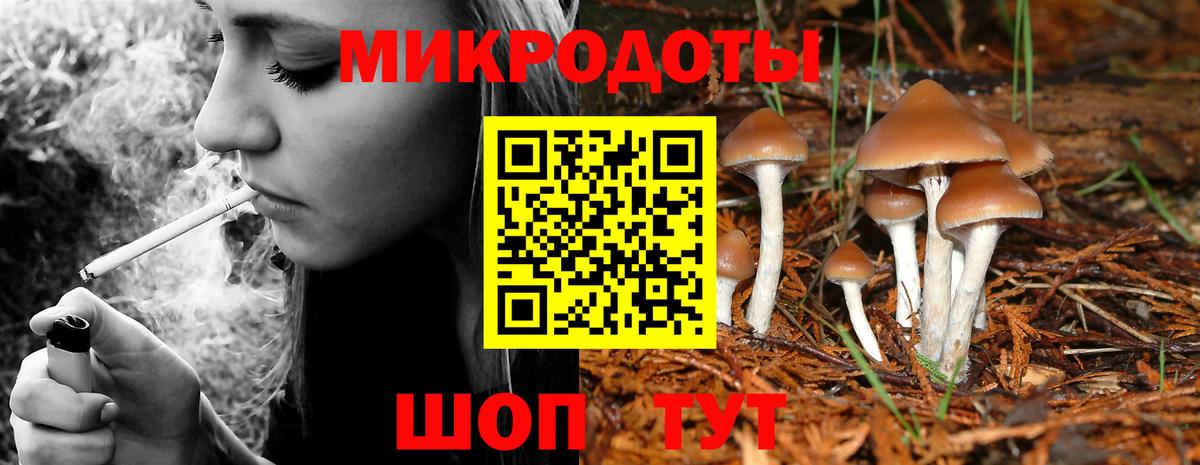 Галлюциногенные грибы Cubensis Северобайкальск